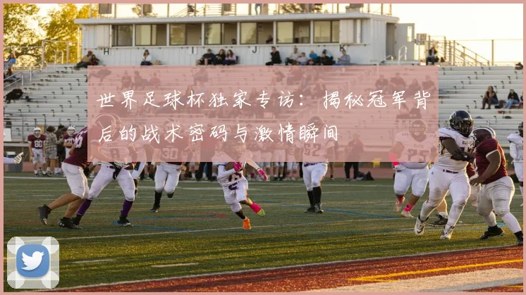 世界足球杯独家专访:揭秘冠军背后的战术密码与激情瞬间
