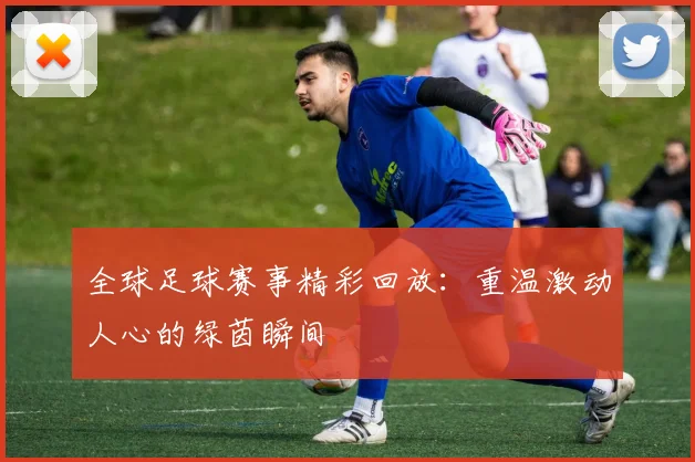 全球足球赛事精彩回放:重温激动人心的绿茵瞬间